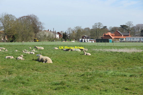 Photo 6"x4" Bratoft Corner Burgh le Marsh c2015