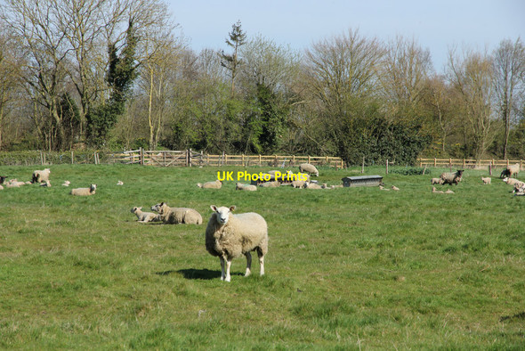 Photo 6"x4" Bratoft Corner Burgh le Marsh c2015 P1