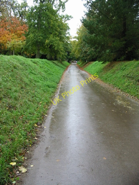 Photo 6"x4" Road and footpath through Arundel Park Arundel c2008
