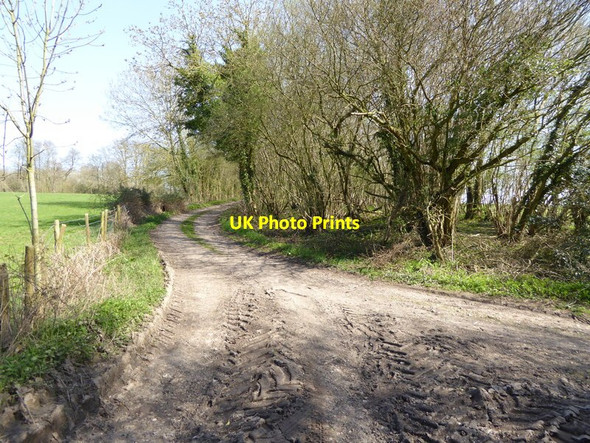 Photo 6"x4" Junction of tracks east of Grove Copse Chidden c2015