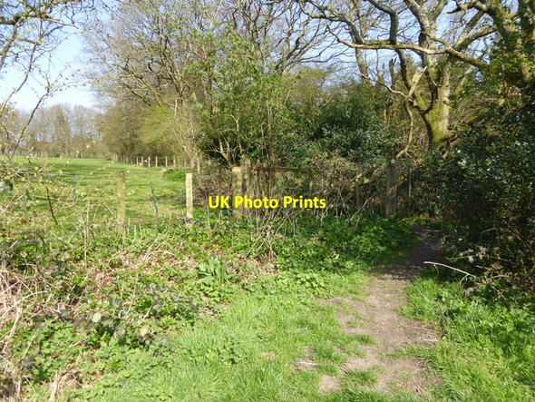 Photo 6"x4" Byway heads north east from minor road Chidden c2015