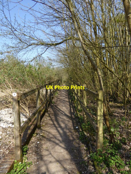 Photo 6"x4" Enclosed walkway at the Sustainability Centre Coombe\/SU6620 c2015