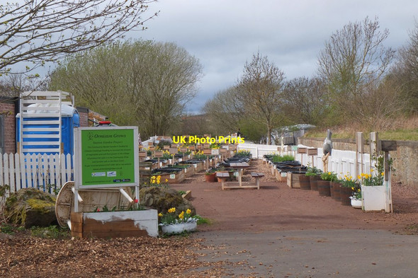 Photo 6"x4" Ormiston Grows garden project Ormiston\/NT4169 c2015