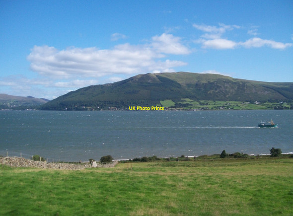 Photo 6"x4" Grazing land between the R173 and the shores of Carlingford Lough Carlingford c2012