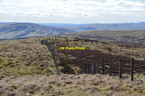 Photo 6"x4" Fence on Rough Knowe Catslackburn c2015