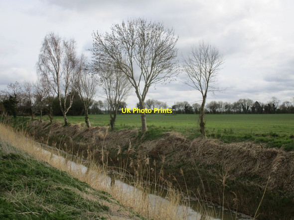 Photo 6"x4" Trees and the North Forty Foot Drain Haven Bank c2015