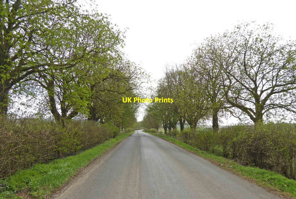 Photo 6"x4" Tree lined minor road from Sproxton Buckminster c2015