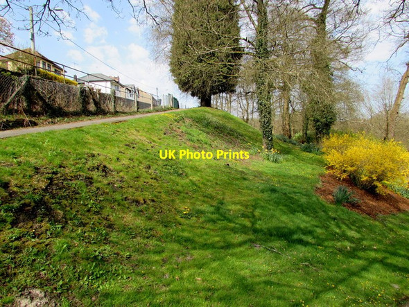 Photo 6"x4" Steep side of Clydach Park, Ynysybwl Ynysybwl c2015