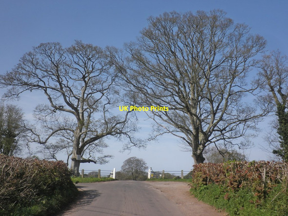 Photo 6"x4" Entrance, Barford Park Enmore c2015