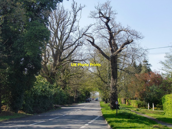 Photo 6"x4" Clandon Road (A247), Burntcommon Burntcommon c2015