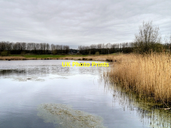 Photo 6"x4" Brockholes Nature Reserve; Reedbeds, Meadow Lake Samlesbury c2015