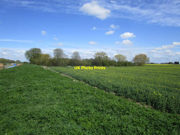 Photo 6"x4" Bridge Farm Reed Point\/TF2051 c2015