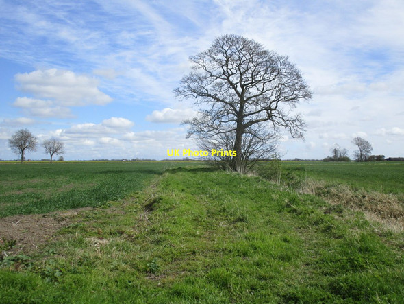 Photo 6"x4" Footpath to Reed Point Reed Point\/TF2051 c2015