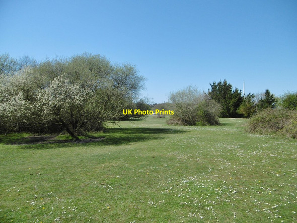 Photo 6"x4" Ashlett, access land Ashlett c2015