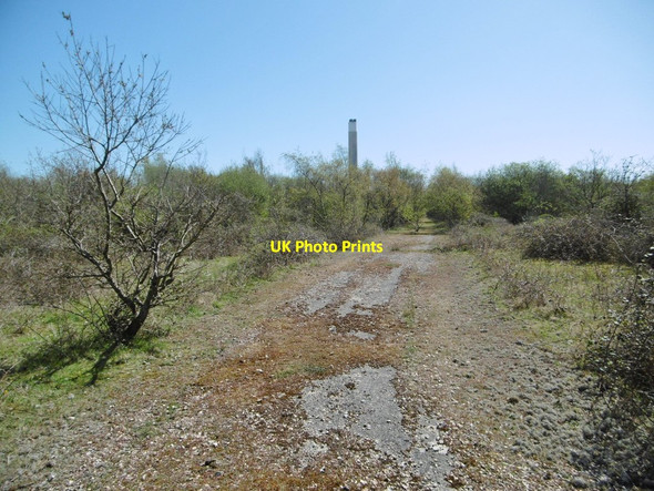 Photo 6"x4" Fawley Wood, wasteland Ashlett c2015