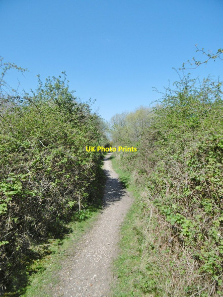 Photo 6"x4" Fawley, footpath Ashlett c2015
