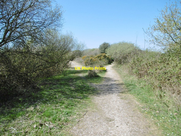 Photo 6"x4" Fawley, footpath junction Ashlett c2015