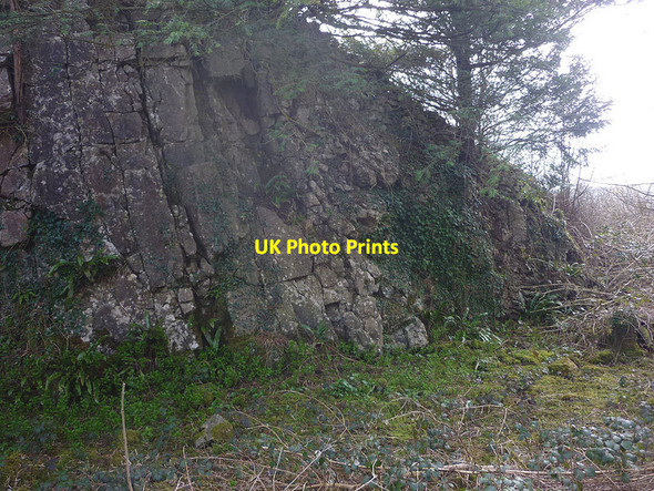 Photo 6"x4" Two types of limestone, Trowbarrow LNR Red Bridge c2015