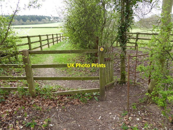 Photo 6"x4" Footpath leaves Horse Croft Copse going northwards Penton Grafton c2015