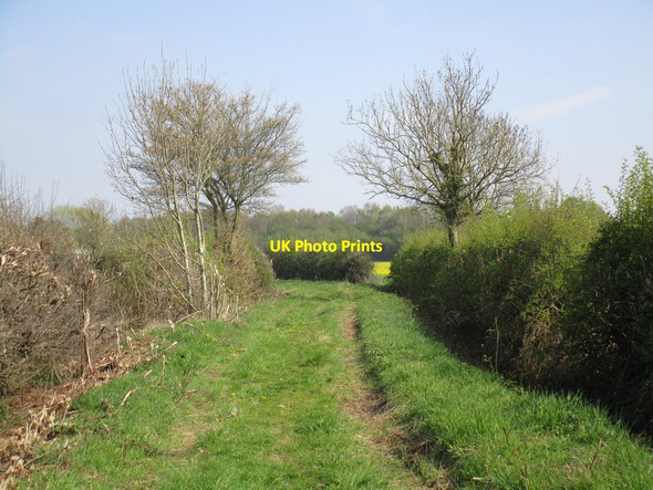 Photo 6"x4" Tilts Lane Tilts c2015