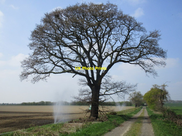 Photo 6"x4" The Balk Almholme Almholme c2015