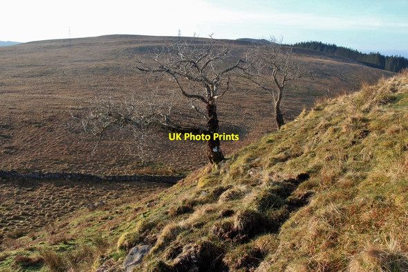 Photo 6"x4" Meall R\u00c3\u00a8idh Inveraray c2015