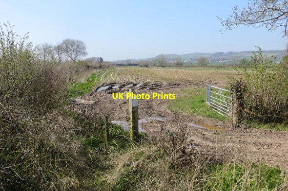 Photo 6"x4" Field off Nythe Road Nythe\/ST4234 c2015