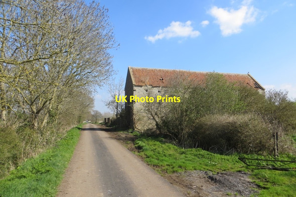 Photo 6"x4" Sedgemoor Farm Nythe\/ST4234 c2015
