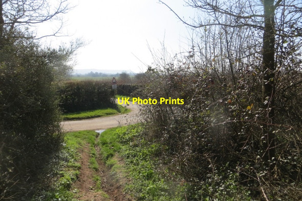 Photo 6"x4" End of Butleigh Drove Asney c2015