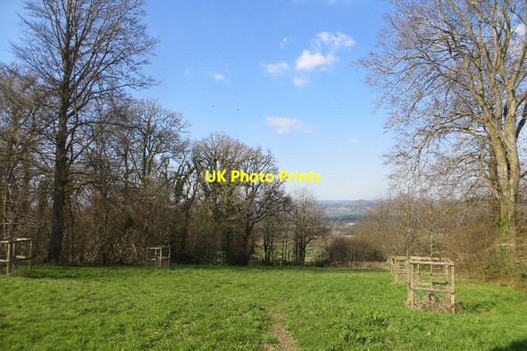 Photo 6"x4" Ride, Windmill Hill Compton Dundon c2015