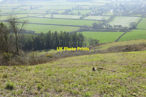 Photo 6"x4" Combe Hill Compton Dundon c2015