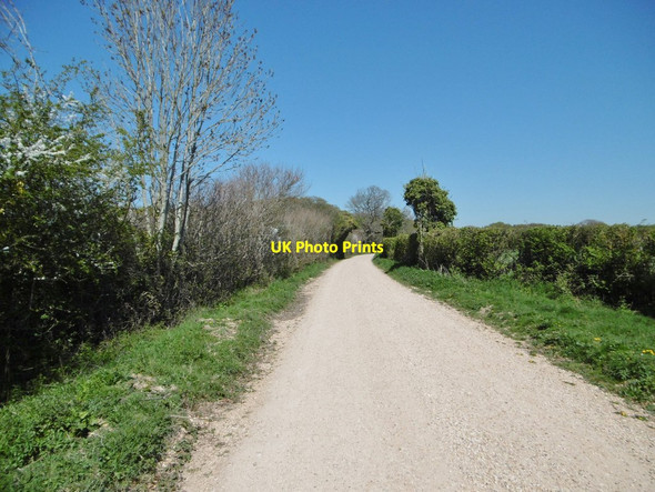 Photo 6"x4" Exbury, bridleway Exbury c2015
