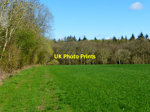 Photo 6"x4" Wood and farmland, West Woodhay North End\/SU4063 c2015