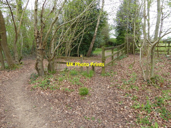 Photo 6"x4" Redundant stile on path into Horse Croft Copse Penton Grafton c2015