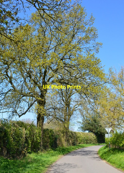 Photo 6"x4" Country Lane, near Chaddleworth, Berkshire Brightwalton Green c2015