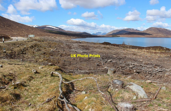 Photo 6"x4" Cleared plantation by Loch Glascarnoch Meall Daimh\/NH2872 c2015