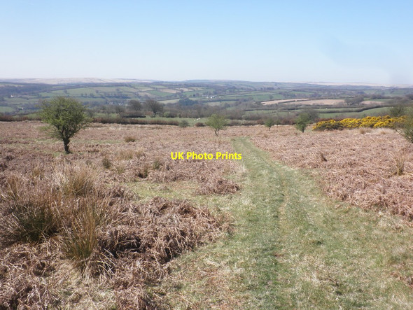 Photo 6"x4" Track on Prescott Down Exford c2015