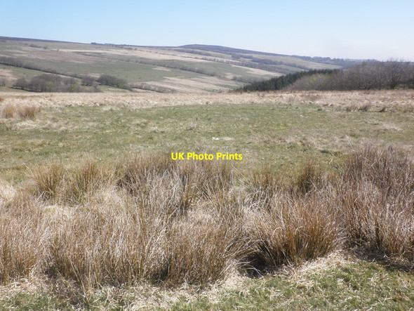 Photo 6"x4" Prescott Down Exford c2015