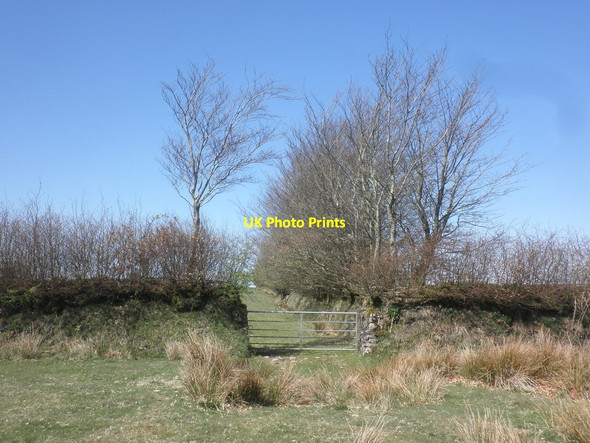 Photo 6"x4" Gateway on Stone Down Exford c2015