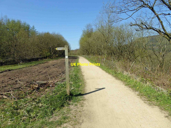 Photo 6"x4" Footpath sign off the Longdendale Trail Deepclough c2015