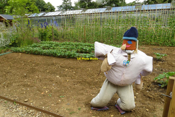 Photo 6"x4" The Kitchen Gardens at Hidcote Manor Garden Hidcote Bartrim c2014