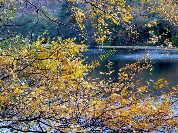Photo 6"x4" Loch a Mhuillidh Loch a' Mhuillidh c2008