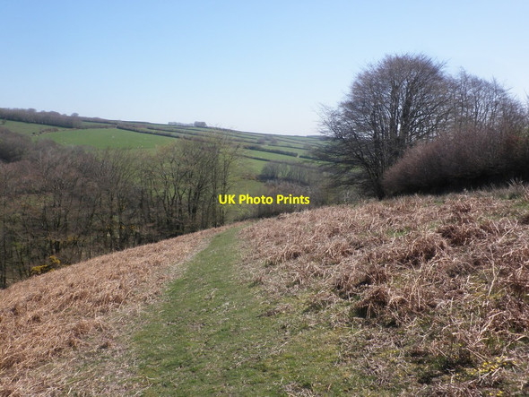 Photo 6"x4" Track to Higher House Codsend c2015