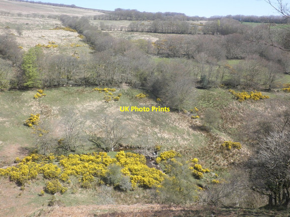 Photo 6"x4" Old field system, near Codsend Codsend c2015