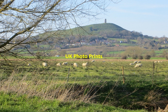 Photo 6"x4" View of the Tor Butleigh Wootton c2015
