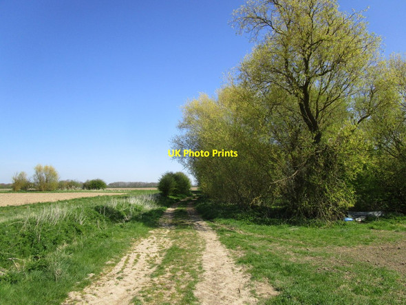 Photo 6"x4" Track by Shaw Wood Bunker's Hill\/TF2653 c2015