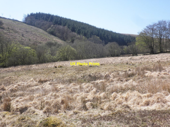 Photo 6"x4" Upper Quarme Valley Codsend c2015