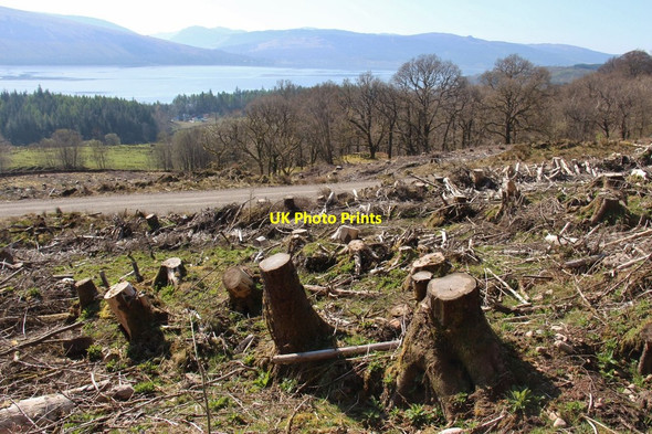 Photo 6"x4" New forest road above Barvrack Inveraray c2015