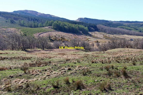 Photo 6"x4" Rough grazing and forest in Strathlachlan Garbhallt c2015