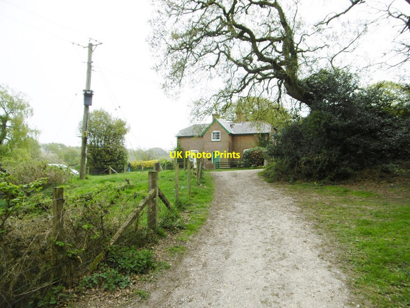 Photo 6"x4" Mopley Farmhouse Blackfield c2015